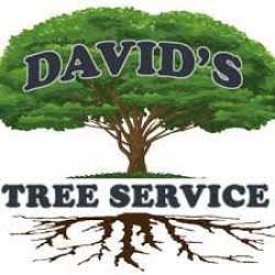 David Tree Services Inc.