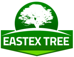 Eastex Tree