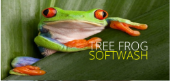 Tree Frog Softwash