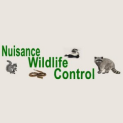 Nuisance Wildlife Control