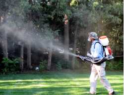 Progreen Pest Control & Lawn