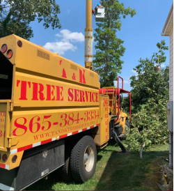 T & K Tree Services