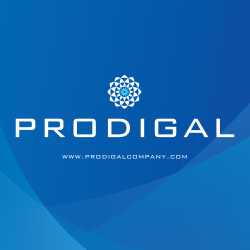 The Prodigal Company