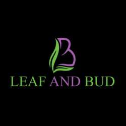 Leaf & Bud Hazel Park