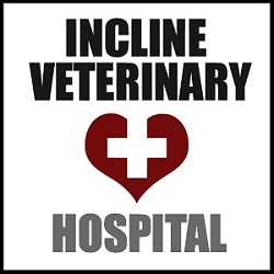 Incline Veterinary Hospital