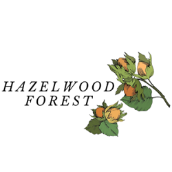 Hazelwood Forest Apartments