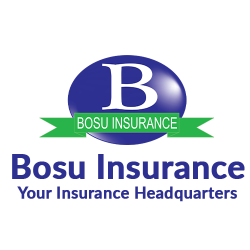 Bosu Insurance Group