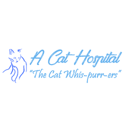 A Cat Hospital