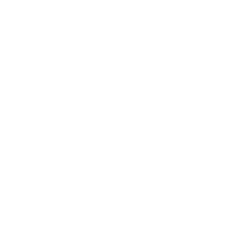 Pioneer Financial Group