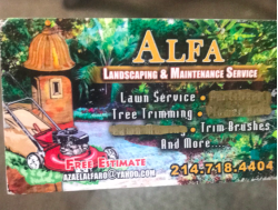Alfa landscaping service DFW