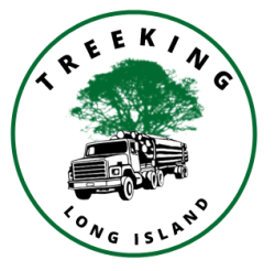Tree King of Long Island