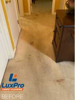 LuxPro Carpet Cleaning
