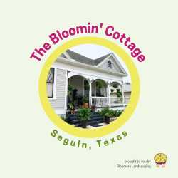 The Bloomin' Cottage