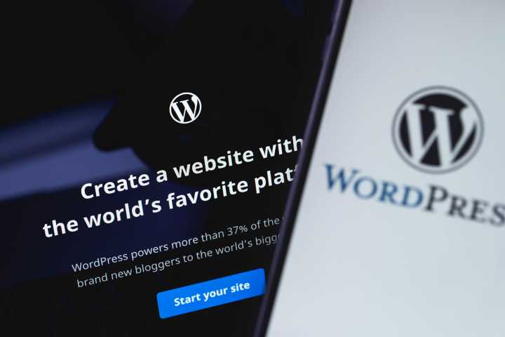 7 Best Tips to Improve the Domain Authority of Your WordPress Site