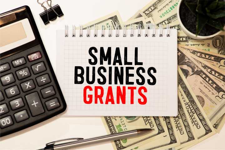 The House Approves $55 Billion for Small Business Grant Program