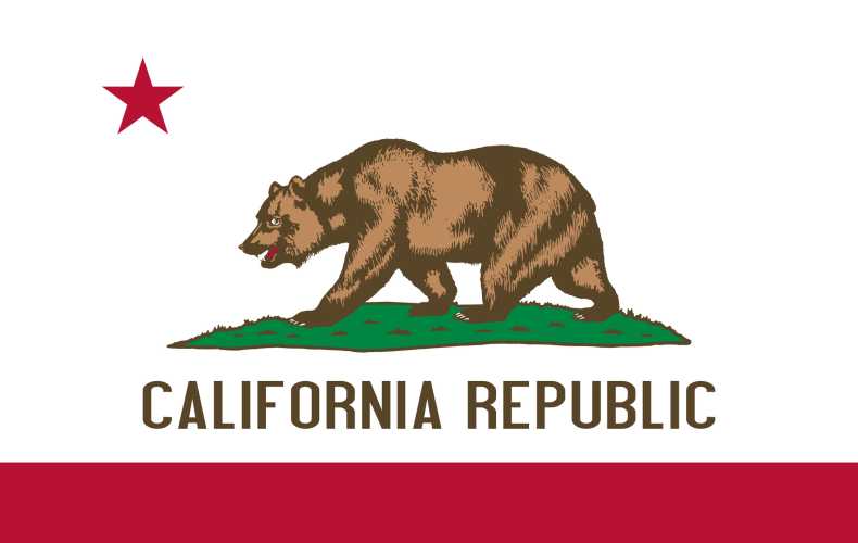 California Business License