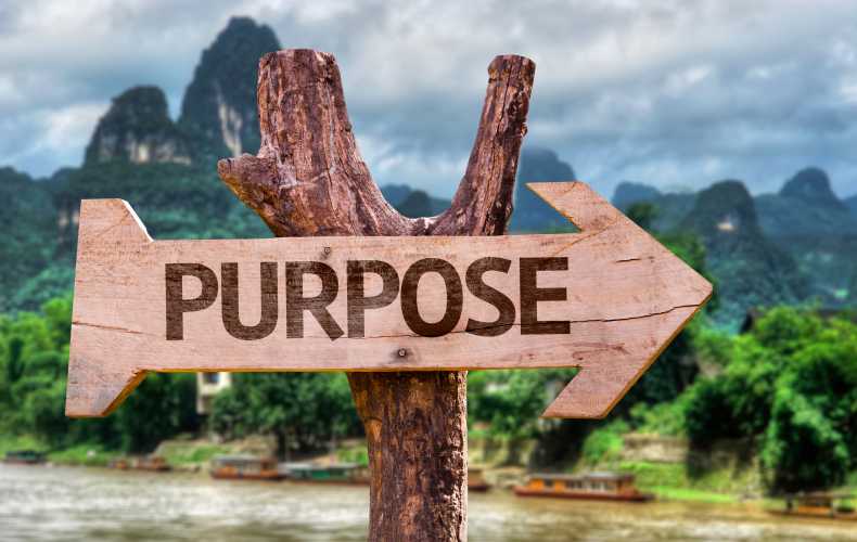 Clarity in Purpose for the New Year