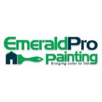 EmeraldPro Painting of Charlotte Logo