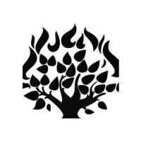 The Tree Affect Logo
