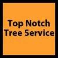 Top Notch Tree Service Logo