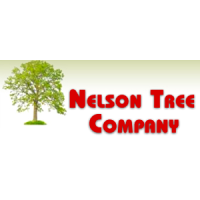 Randy Nelson Tree Co. Logo