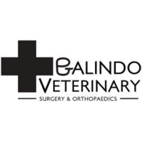 Galindo VSO Logo