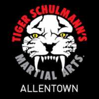 Tiger Schulmann's Martial Arts (Allentown, PA) Logo