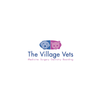 The Village Vets Virginia Highlands Logo