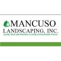 Mancuso Landscaping Inc Logo