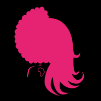 Feminine Attractions Hair Salon Logo