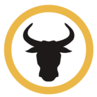 Toro Construction Logo