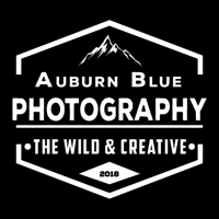 Auburn Blue Photography Logo