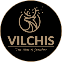 Vilchis Tree Care of Jonesboro Logo