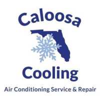 Caloosa Cooling LLC Logo