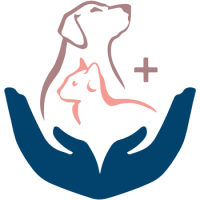Dollys Animal Clinic Miami, FL Logo