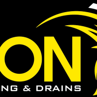 Lion Plumbing & Drains Logo