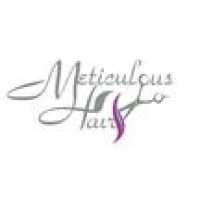 Meticulous Hair Salon Logo