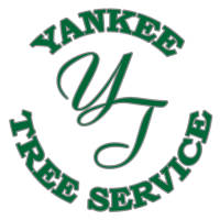 Yankee Tree Service Logo