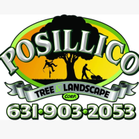 Posillico Tree and Landscape Logo