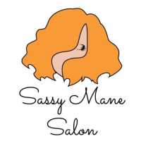 Sassy Mane Salon Logo