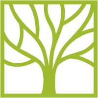Yesterday's Trees Logo