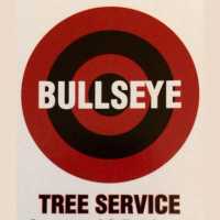 Bullseye Tree Service Logo