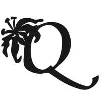Quinn Florist Logo