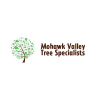 Mohawk Valley Tree Specialist's Logo
