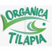 Organica Tilapia, INC Logo