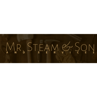Mr. Steam & Son Services Logo