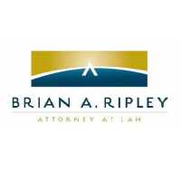 Brian A. Ripley Logo