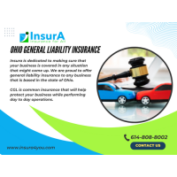 Insura Insurance Agency Logo