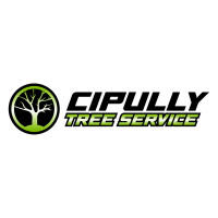 Cipully Tree Service LLC Logo