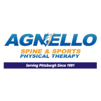 Agnello Spine & Sports Physical Therapy Logo